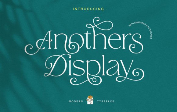 Anothers Display: A Modern Serif Font for Web Design