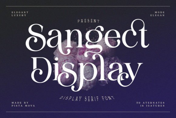 Sangect Display Typeface Review for Bold Branding