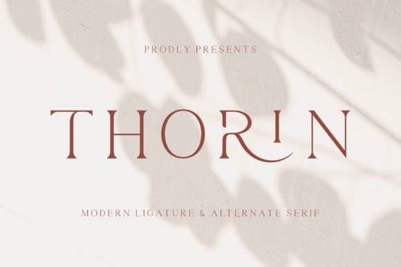 Thorin Font Review: Elevating Digital Campaigns
